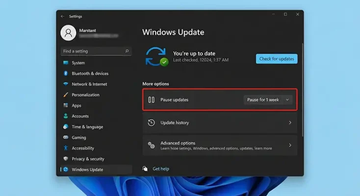 Windows 11 update settings menu highlighting the button to pause updates for 1 week.